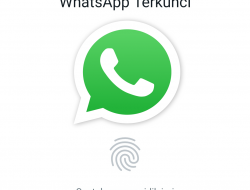 Cara Mengunci Whatsapp Dengan Sidik Jari Tanpa Instal Aplikasi