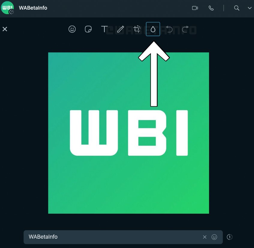 blur tool whatsapp