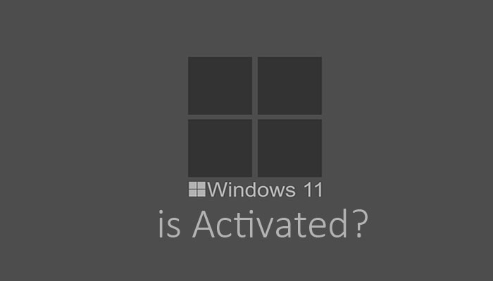 cara mengecek status aktivasi windows 11