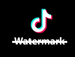 Cara Download Video Tiktok Tanpa Watermark Terbaru