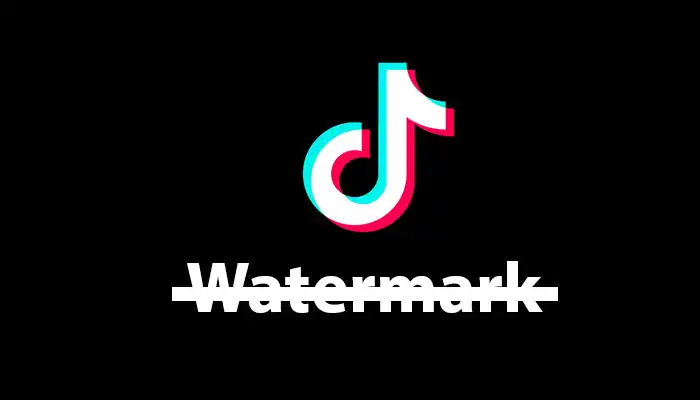 cara download video tiktok tanpa watermark