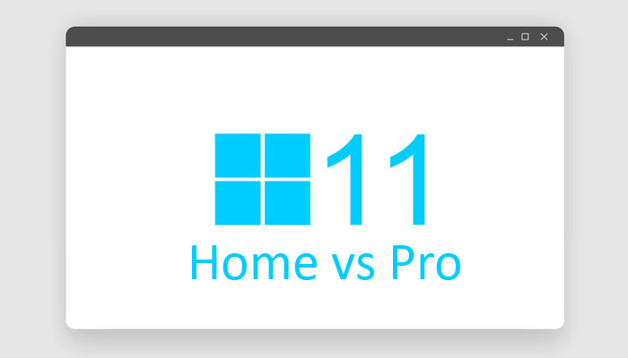 perbedaan windows 11 home vs pro