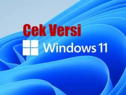 Cara Melihat Versi Windows 11 di PC Atau Laptop
