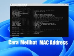 Cara Melihat MAC Address di Windows 11