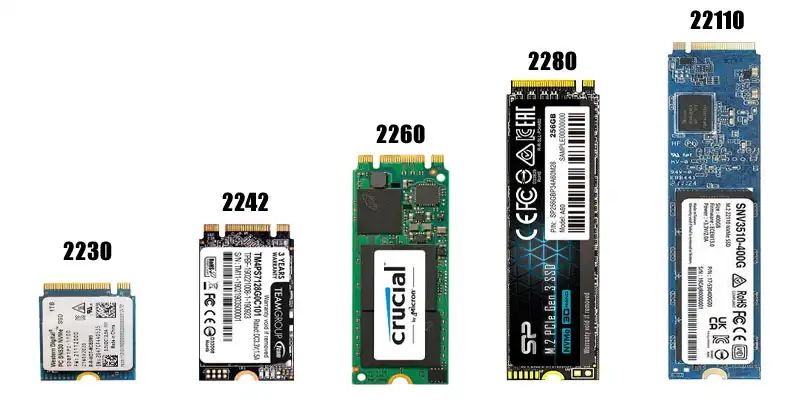 perbandingan ukuran ssd m.2