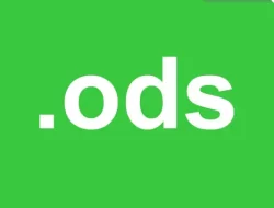 Apa Itu File ODS dan Bagaimana Cara Membukanya?