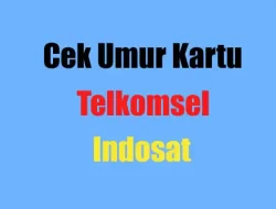 Cara Cek Umur Nomor Telkomsel dan Indosat Dengan Mudah